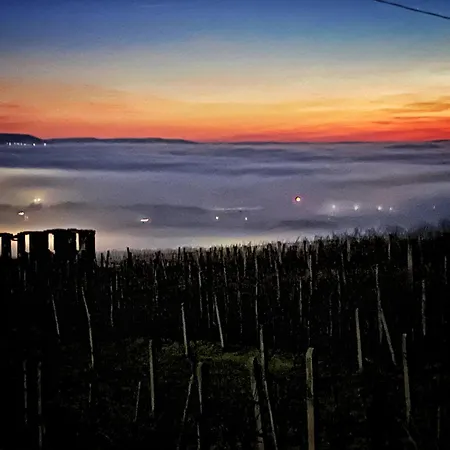 Hétvégi ház Somlo Wineshop Somlóvásárhely