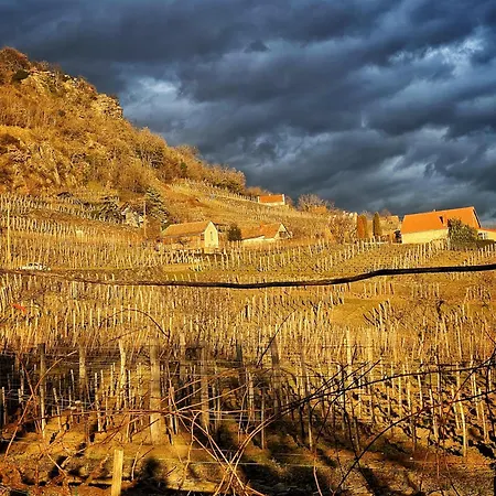 Somlo Wineshop Hétvégi ház Somlóvásárhely