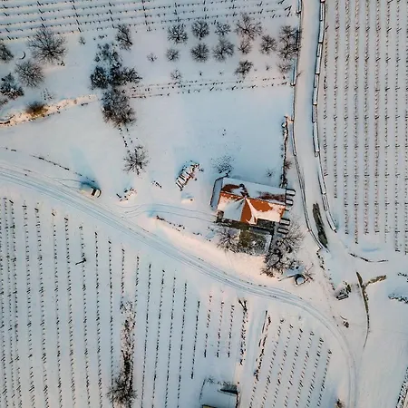 Hétvégi ház Somlo Wineshop